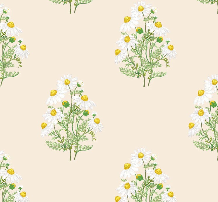'Fleur De Camomille' Wallpaper by Sarah Jessica Parker - Pearl
