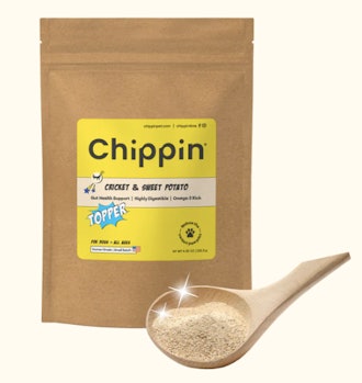 Cricket Food Topper (1 Pouch)