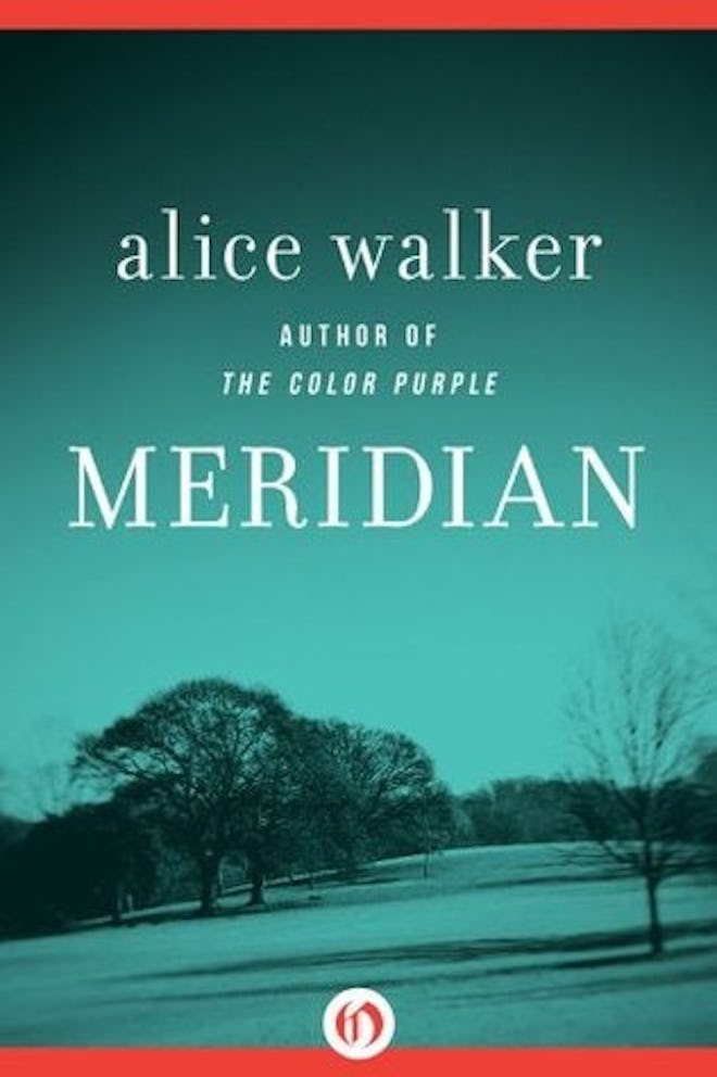 'Meridian' by Alice Walker