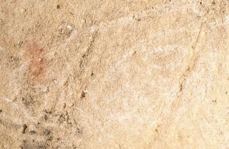 Digital photograph of the head of an engraved bison from El Castillo Cave, Spain.