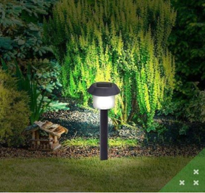 Signature Garden Solar Garden Lights (8-Pack)