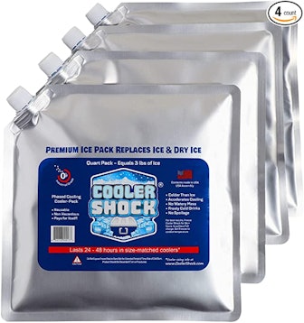 Cooler Shock Reusable Ice Pack (4-pack)