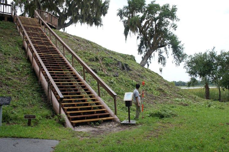 A burial mound of shells at Crystal River in Florida