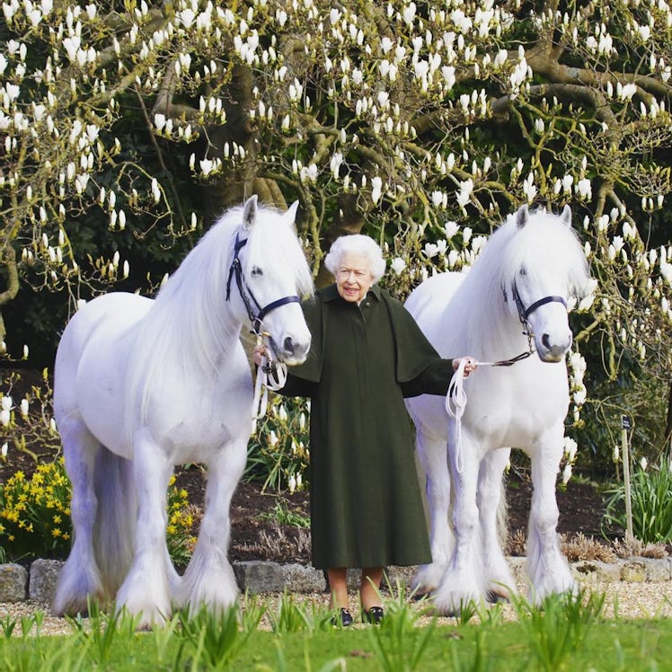 Queen Elizabeth II standing between two white horses