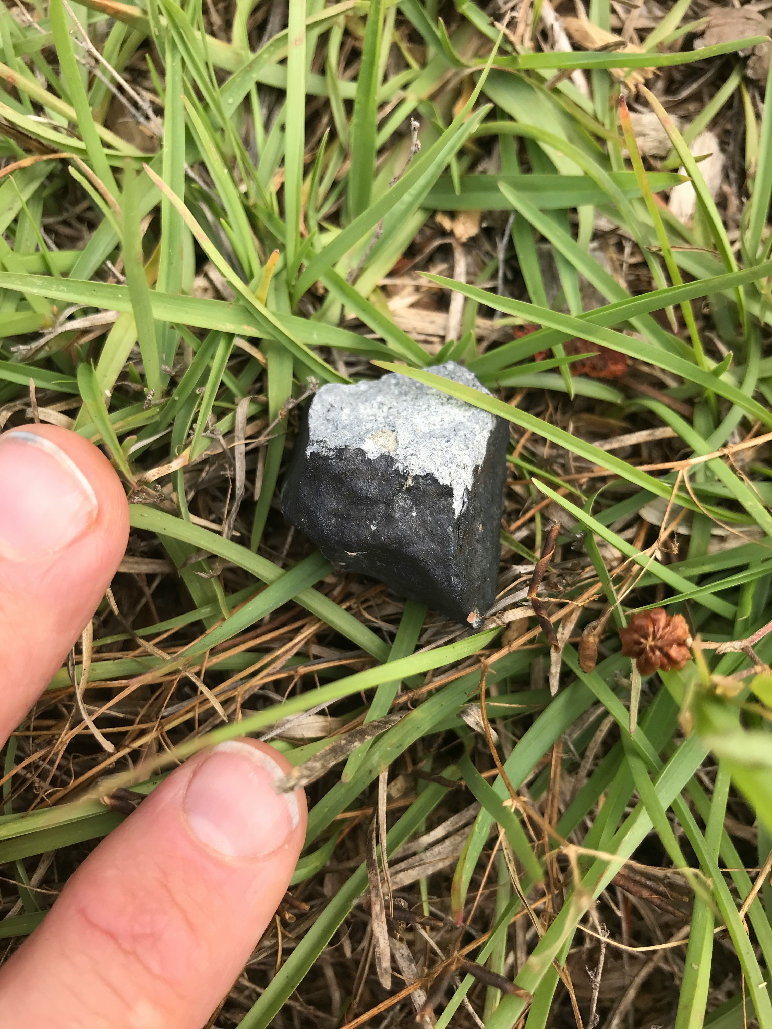 A closeup of a meteorite in the grass in Mississippi 