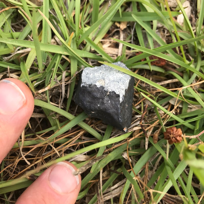 A closeup of a meteorite in the grass in Mississippi 