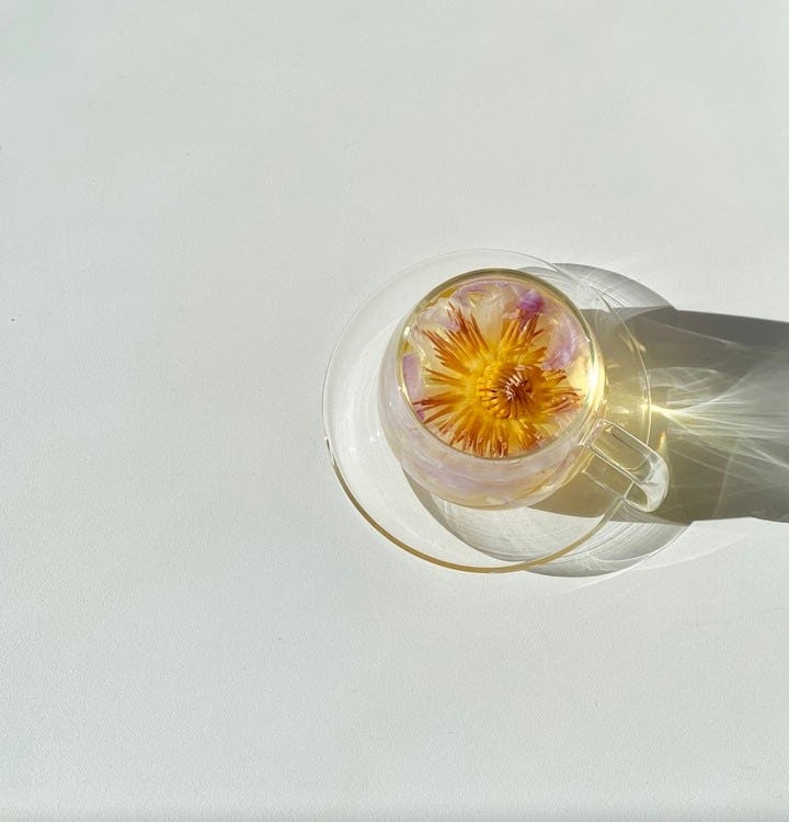 wellness teas the qi