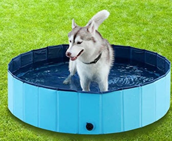 Jasonwell Foldable Dog Pool