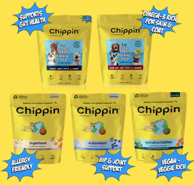 Chippin Oven Baked & Jerky Treats Super Bundle (5-Pack)