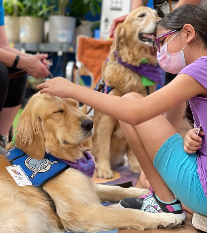 Service dogs comforted traumatized children.