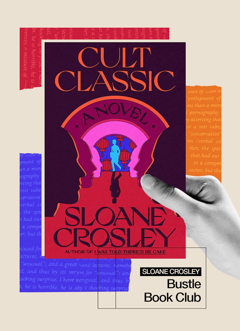 Sloane Crosley's 'Cult Classic.'