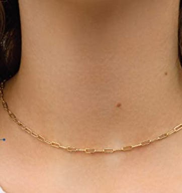 Benevolence LA Paper Clip Chain Necklace