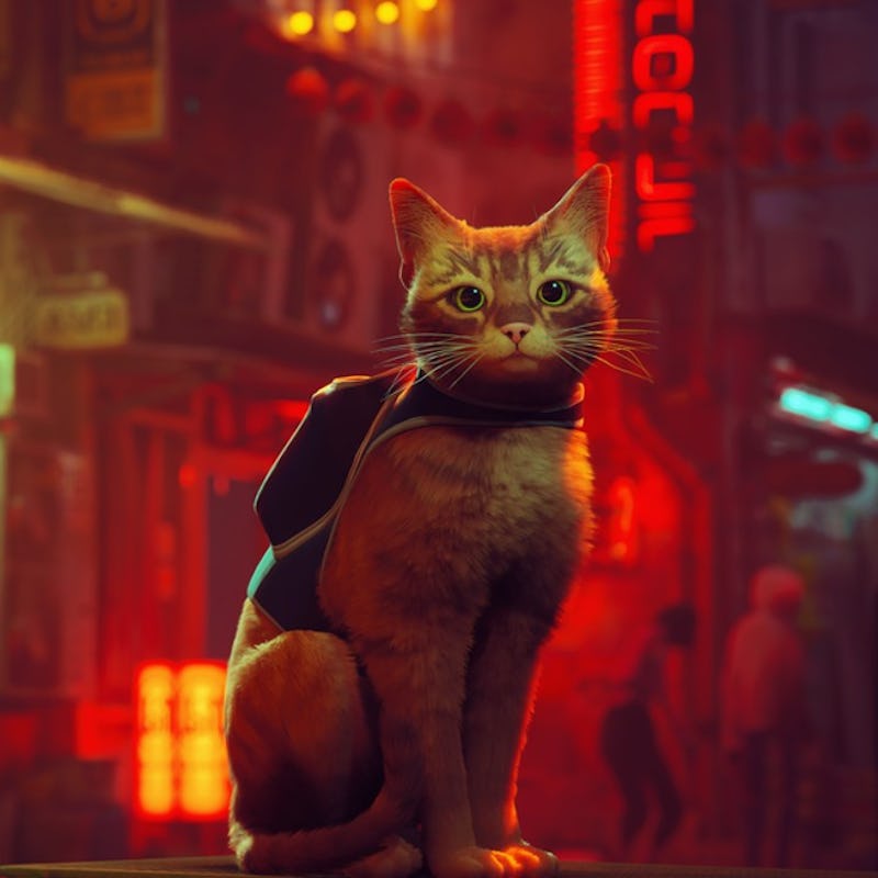 Stray
