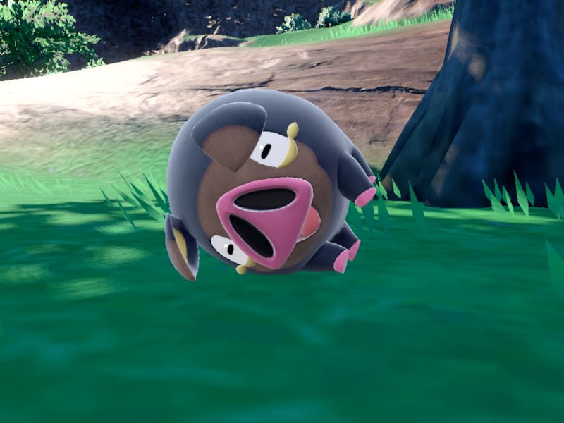A screenshot showing the small, round pig-like character "Lechonk" laying on his side in the grass
