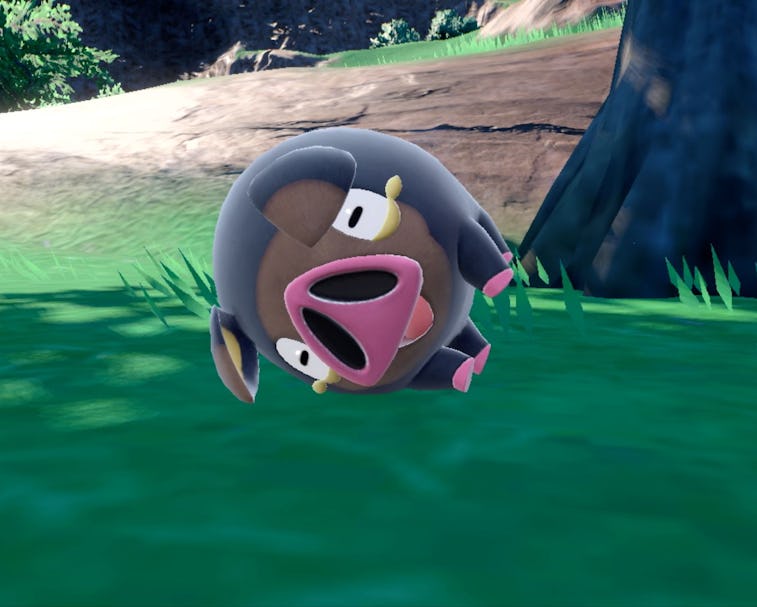 Apparently I Had a Shiny Miraidon