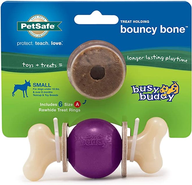 PetSafe Busy Buddy Bouncy Bone Dog Chew Toy
