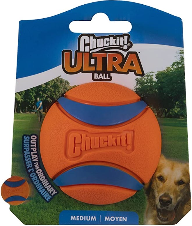 Chuckit! Ultra Ball Dog Toy
