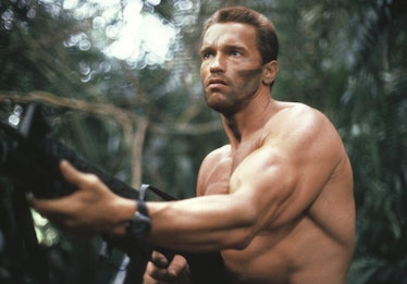 Predator, Arnold Schwarzenegger,cult classic,movie,v2,Gildan Short