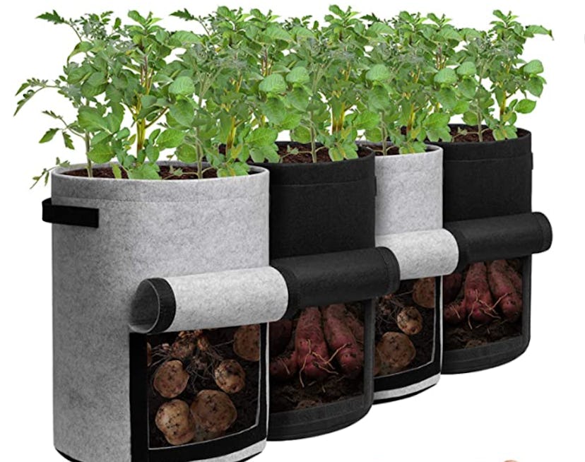 Potato grow bags put you one step closer to cultivating your own crop.