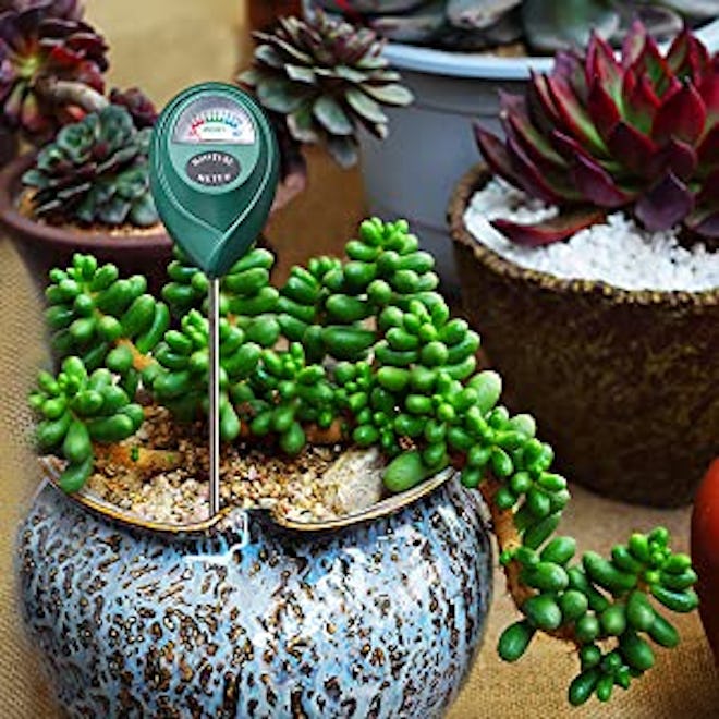 XLUX Soil Moisture Meter