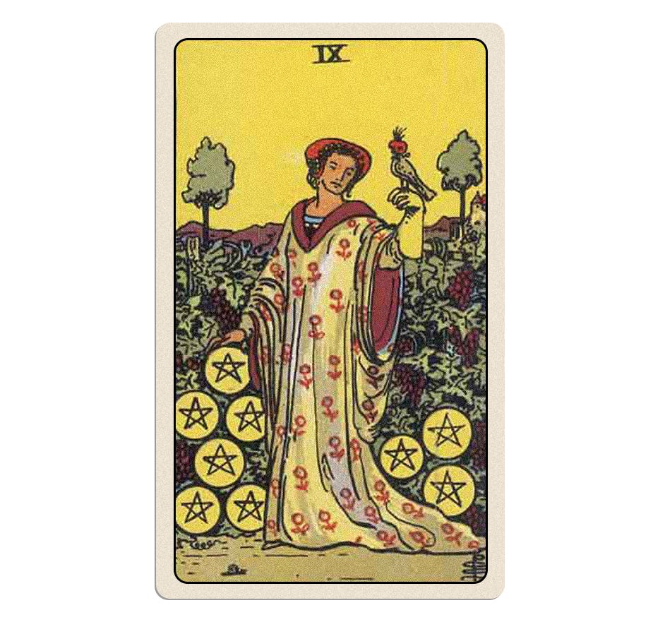 nine of pentacles tarot card meaning
