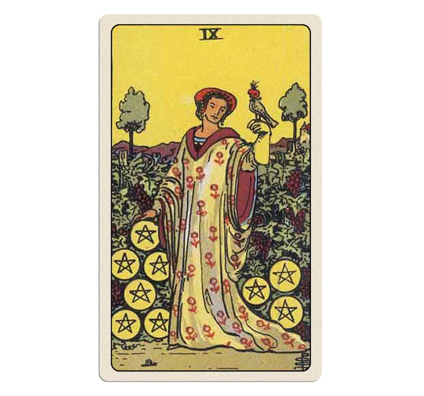 nine of pentacles tarot card meaning