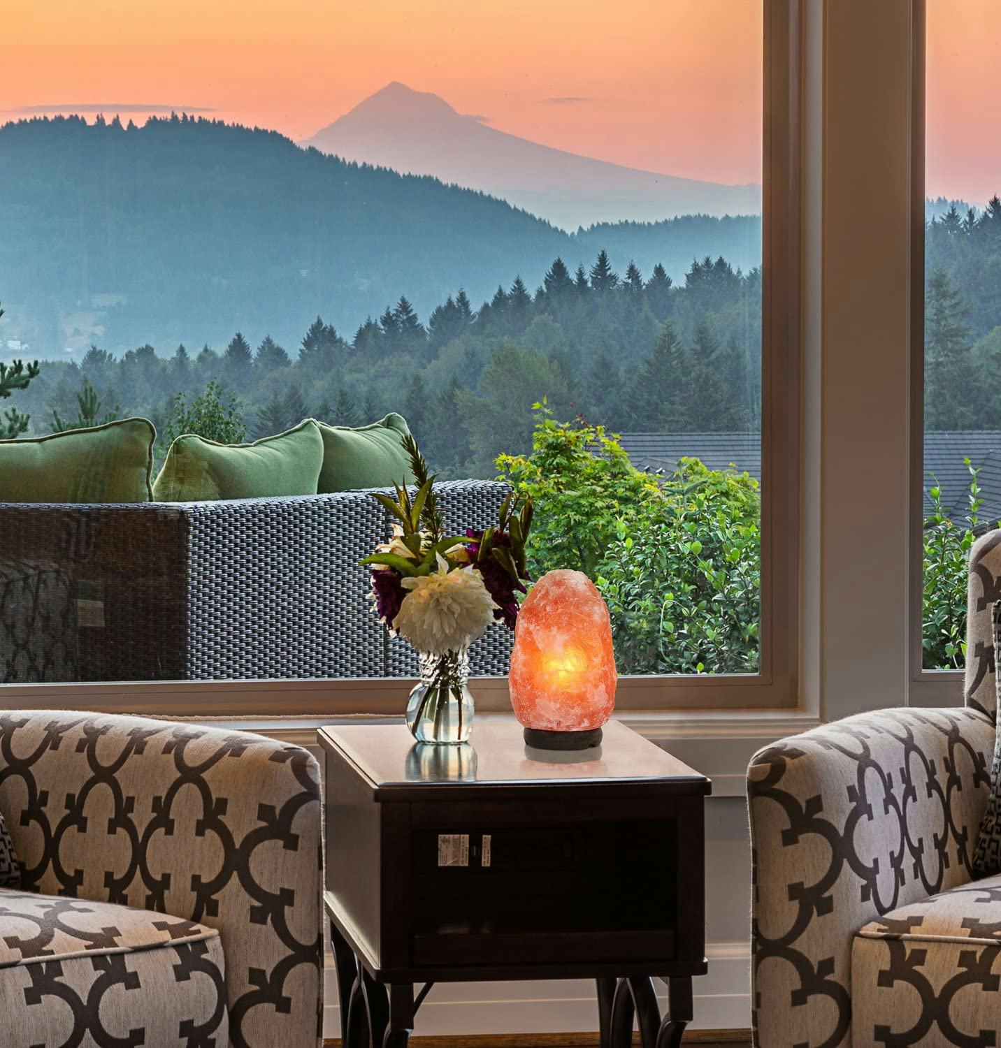 Greenco Natural Himalayan Rock Salt Lamp