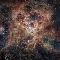 Tarantula Nebula: Stunning image reveals spindles of cold gas in a nearby galaxy
