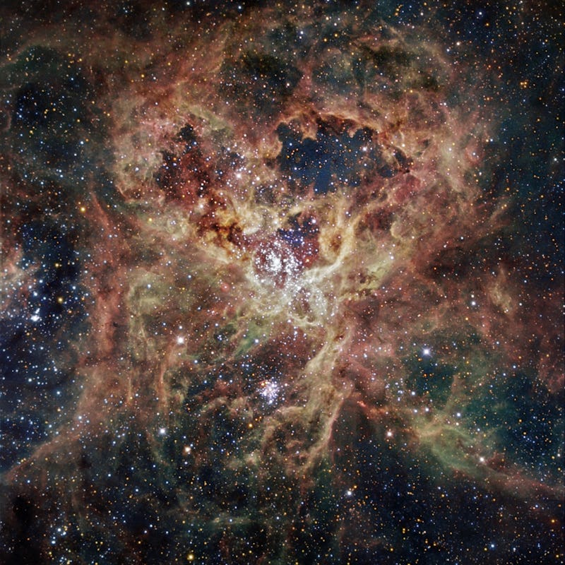Tarantula nebula