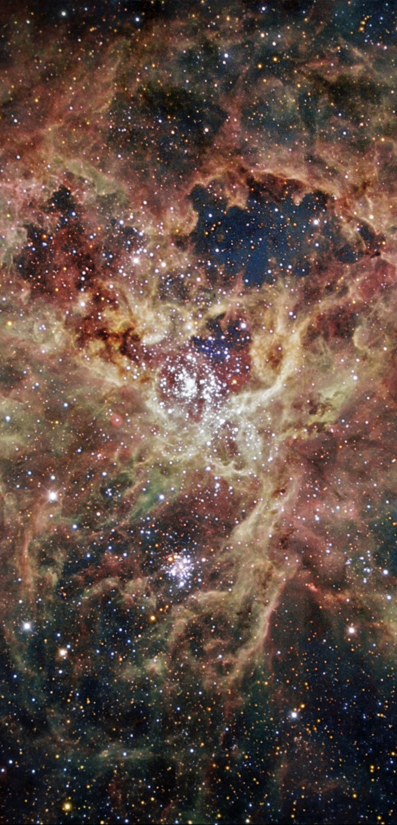 Tarantula nebula