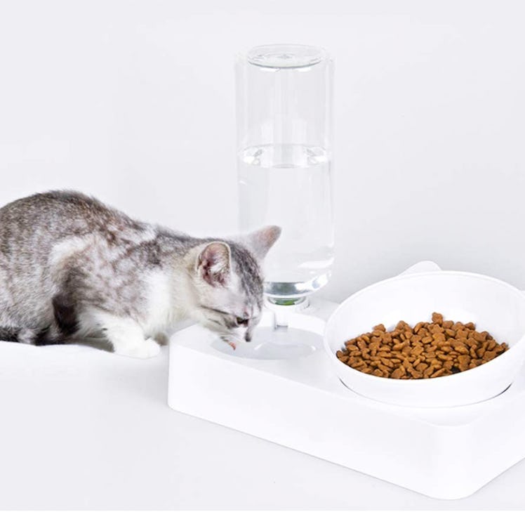 Marchul Gravity Water and Food Bowls