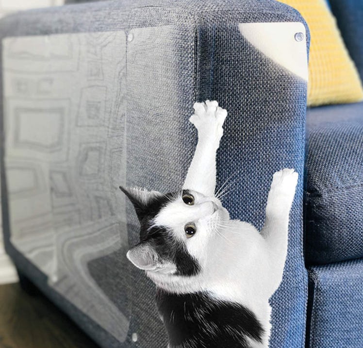 Stelucca Amazing Shields Cat Scratch Deterrent (6-Pack)