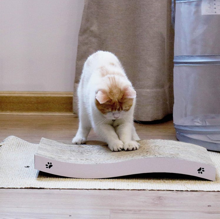 Coching Cat Scratcher