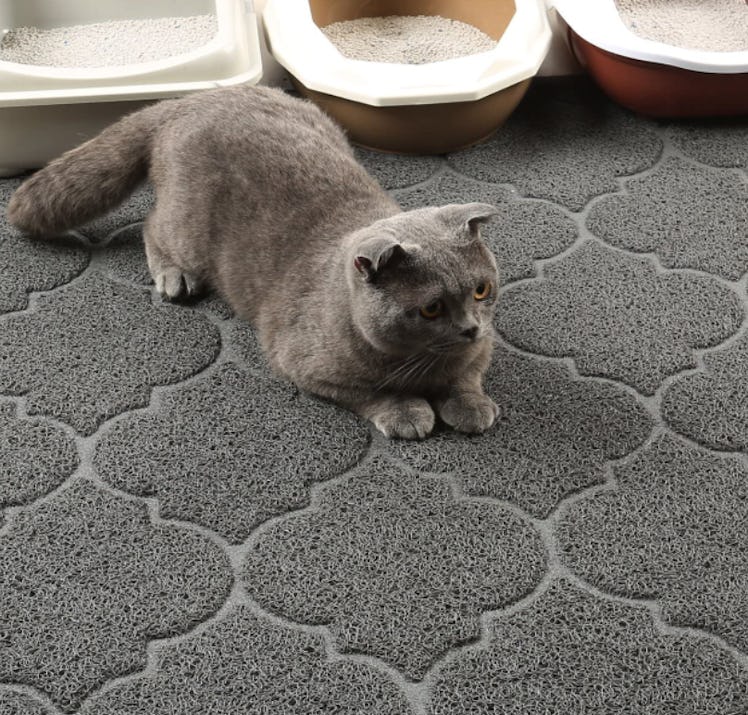 Cosyearn Cat Litter Mat 