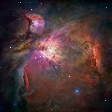 Messier 42, also known as the Orion Nebula. It looks like an open cornucopia, with tiny stars sprink...