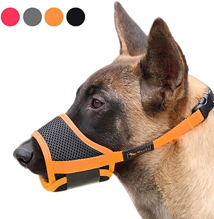 HEELE Dog Muzzle