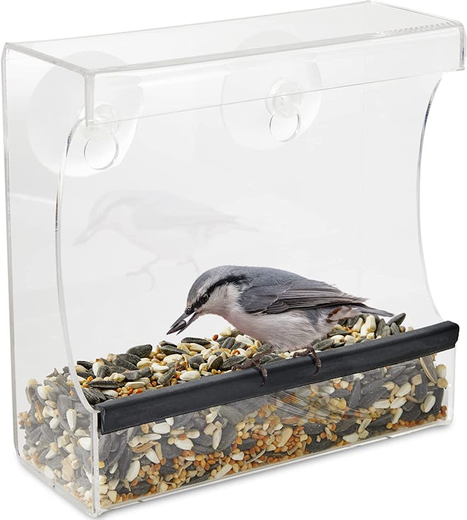 Gray Bunny Clear Window Bird Feeder