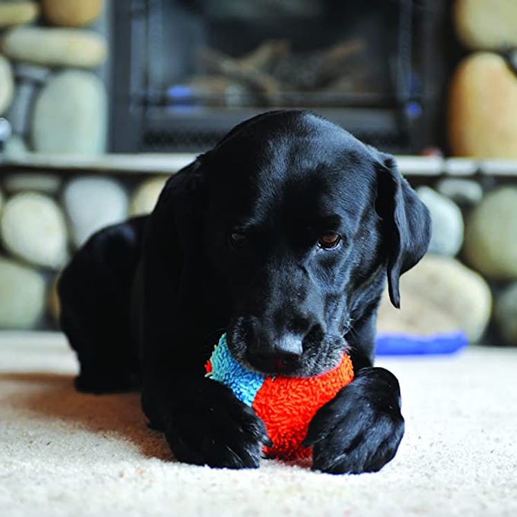 ChuckIt! Indoor Fetch Ball