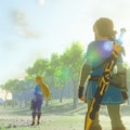 Link looking at Zelda in the distance