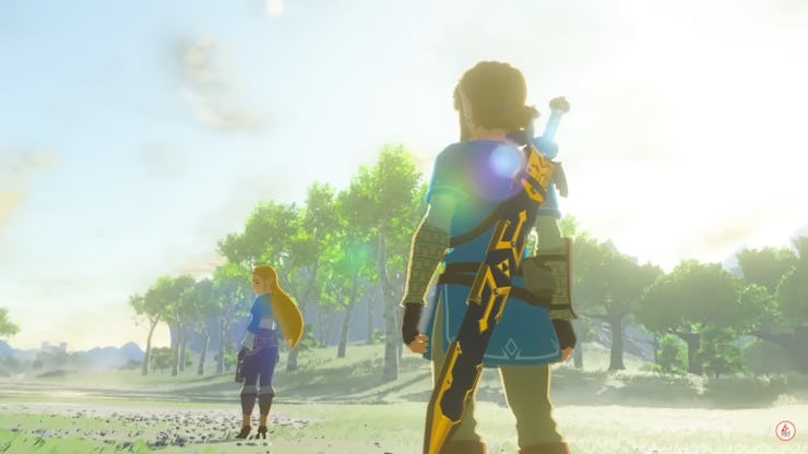Link looking at Zelda in the distance