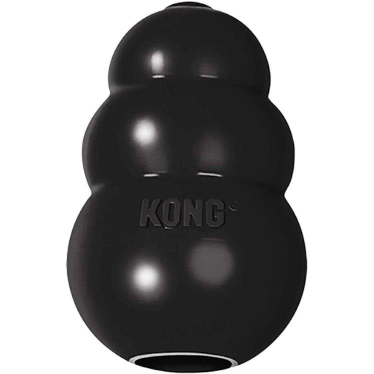 KONG Extreme Rubber Dog Toy