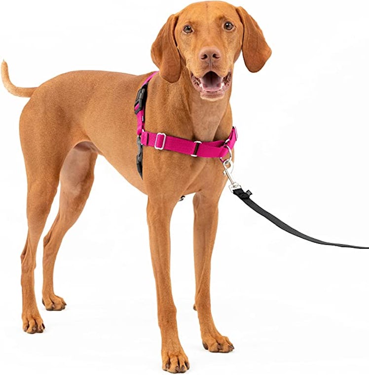 PetSafe Easy Walk Dog Harness