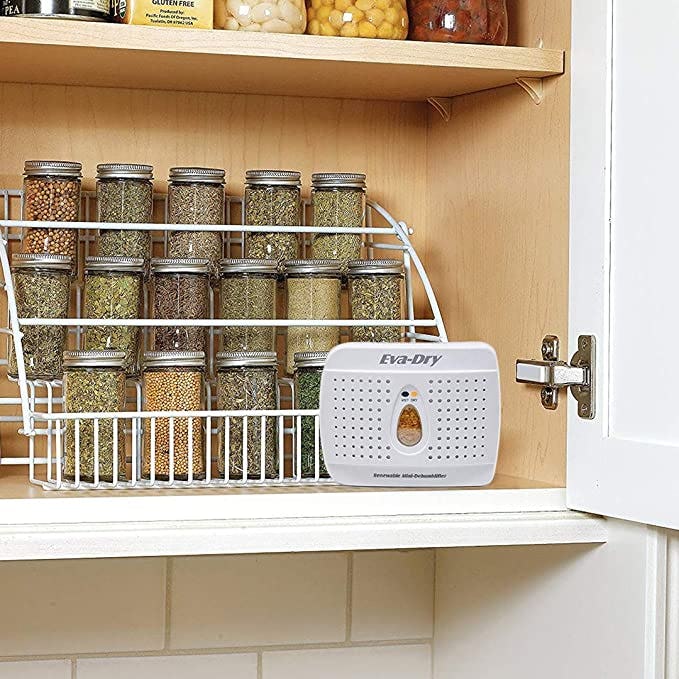 Eva-dry Renewable Dehumidifier