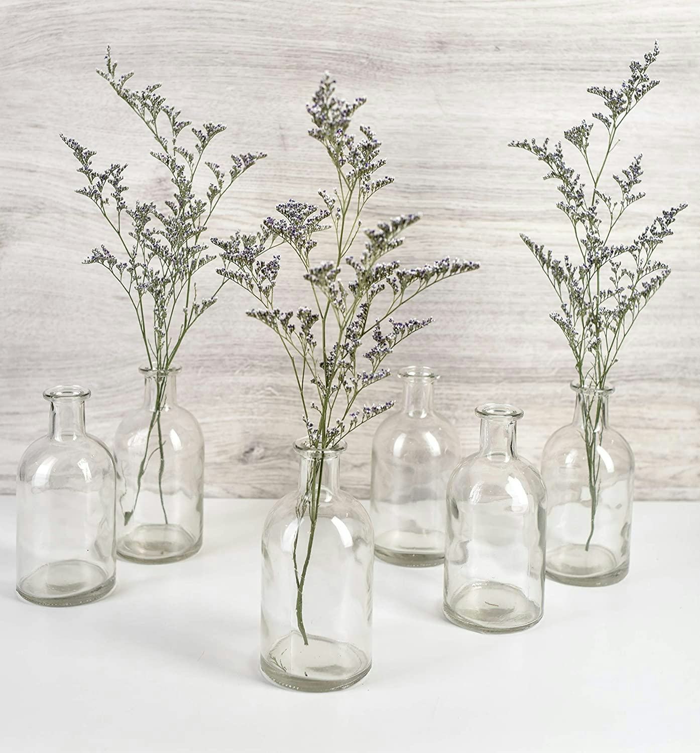 Serene Spaces Living Bud Vases (6-Pack)