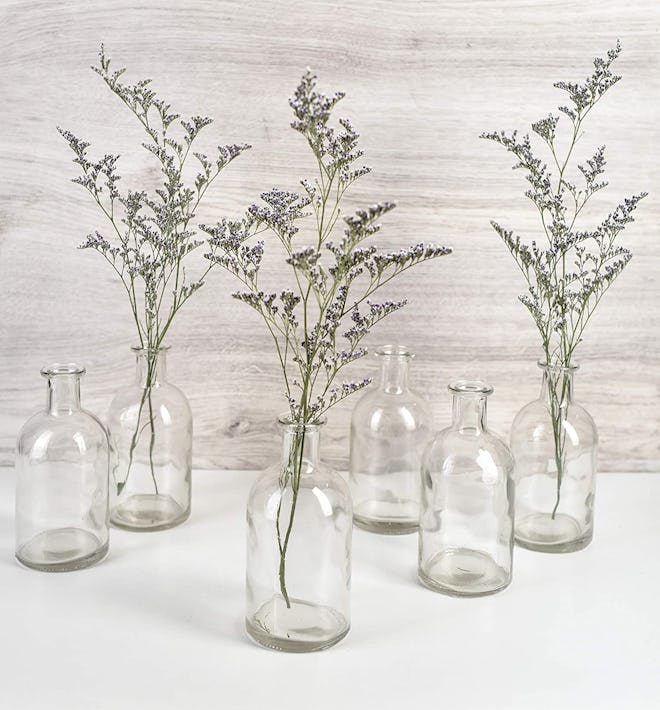 Serene Spaces Living Bud Vases (6-Pack)