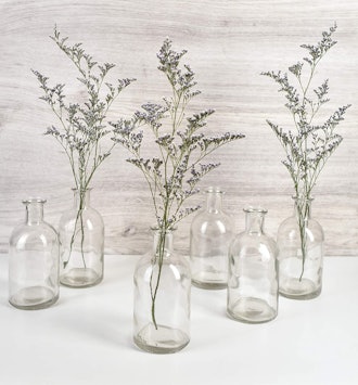 Serene Spaces Living Bud Vases (6-Pack)