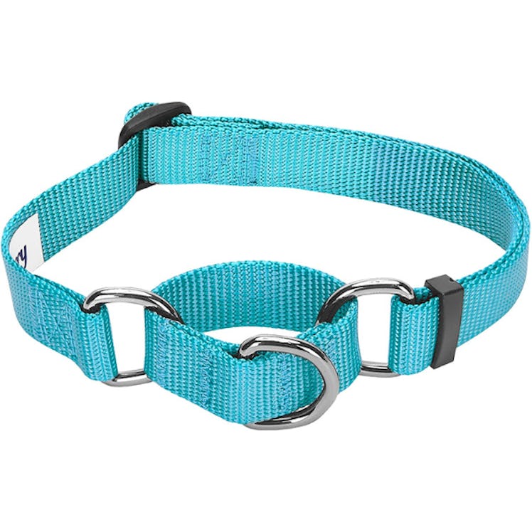 Blueberry Pet Safety Training Collar
