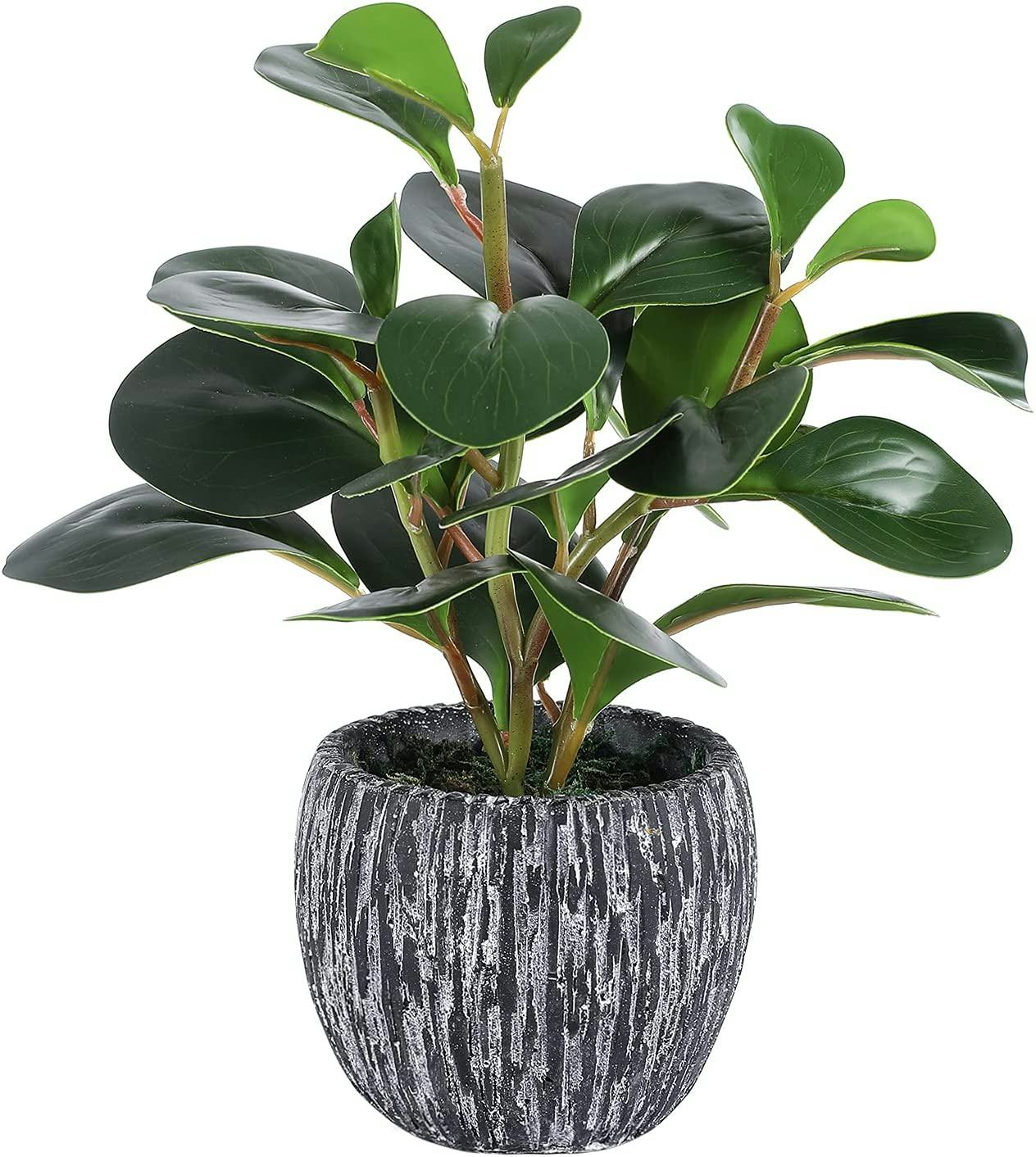 Lorydeco Artificial Potted Plants