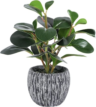 Lorydeco Artificial Potted Plants 