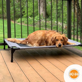 An elevated dog bed gives pups a cooling bed in the backyard.